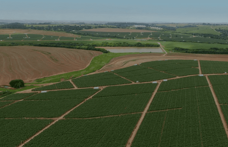 projecgts_headvisual_home